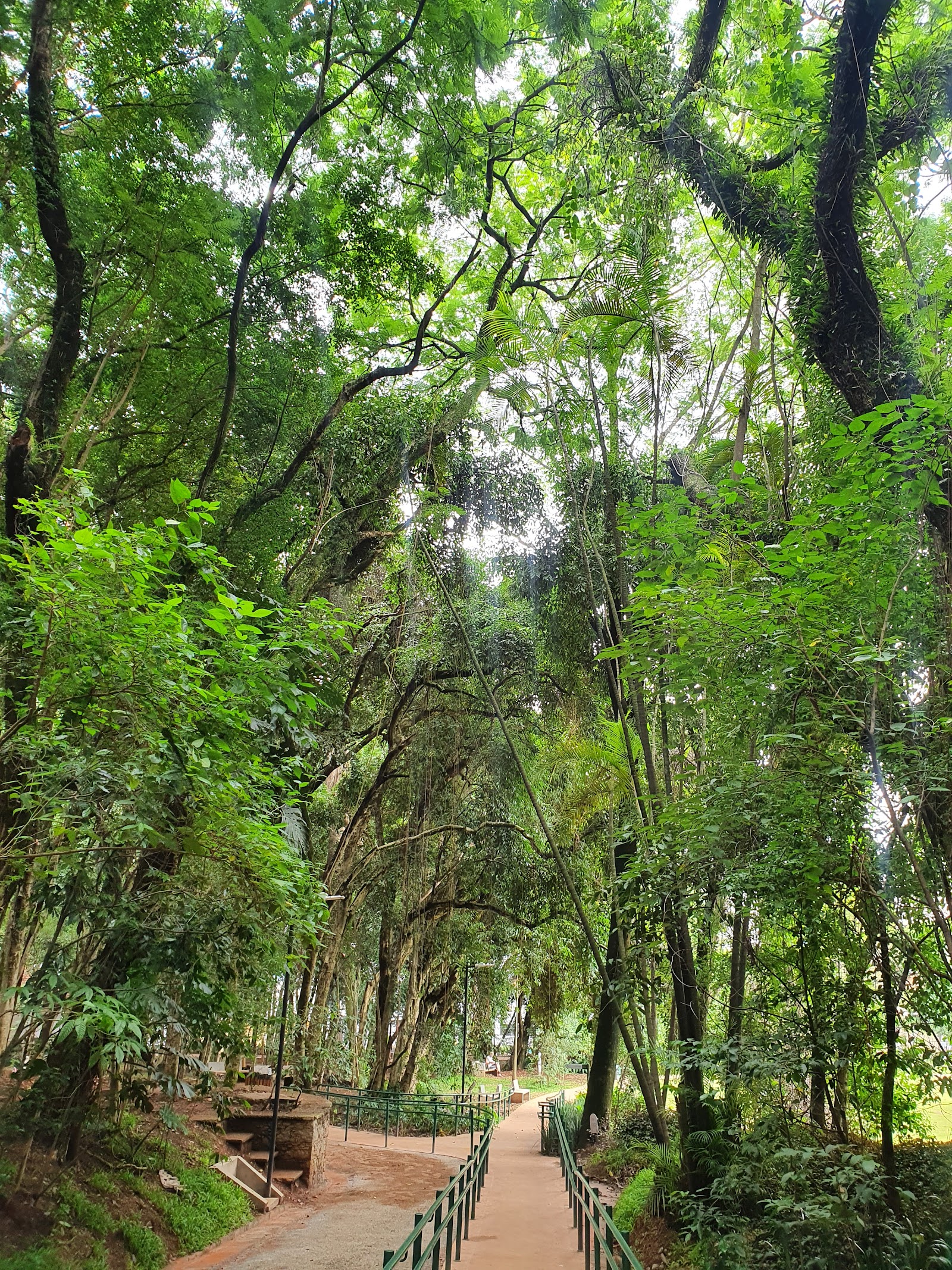 Augusta - Mayor Bruno Covas Park