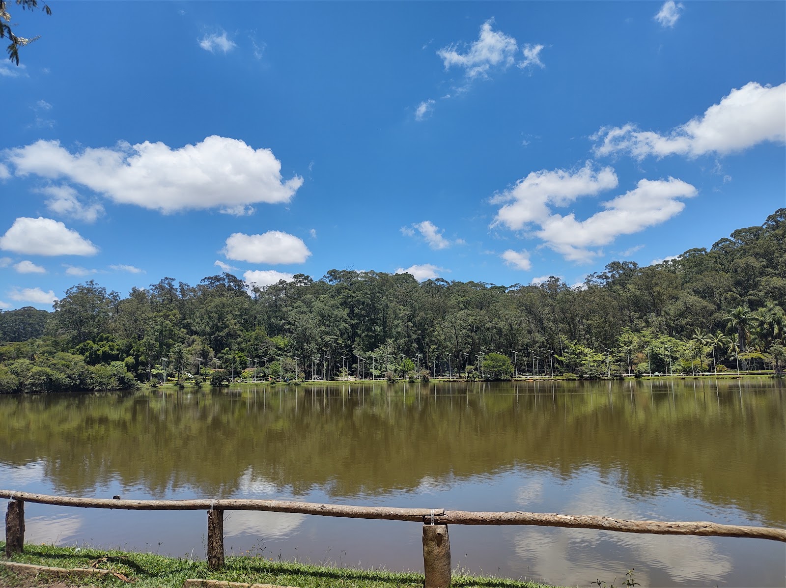 Carmo Park – Olavo Egydio Setúbal