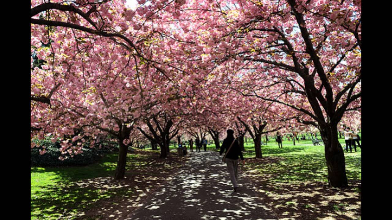 Carmo Park – Olavo Egydio Setúbal