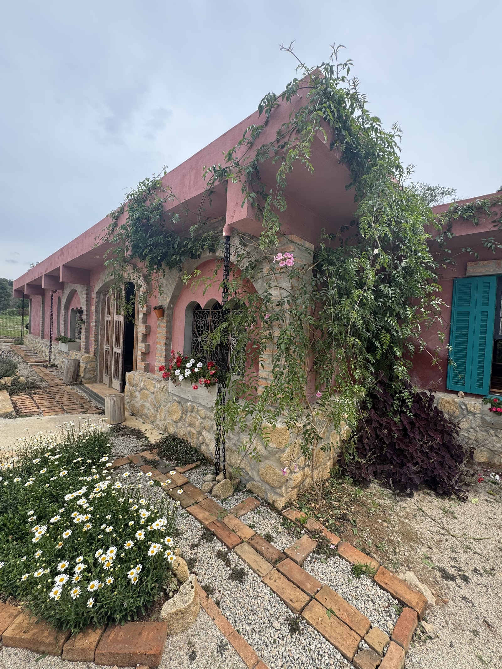 DeLucia Cantina e Vinícola