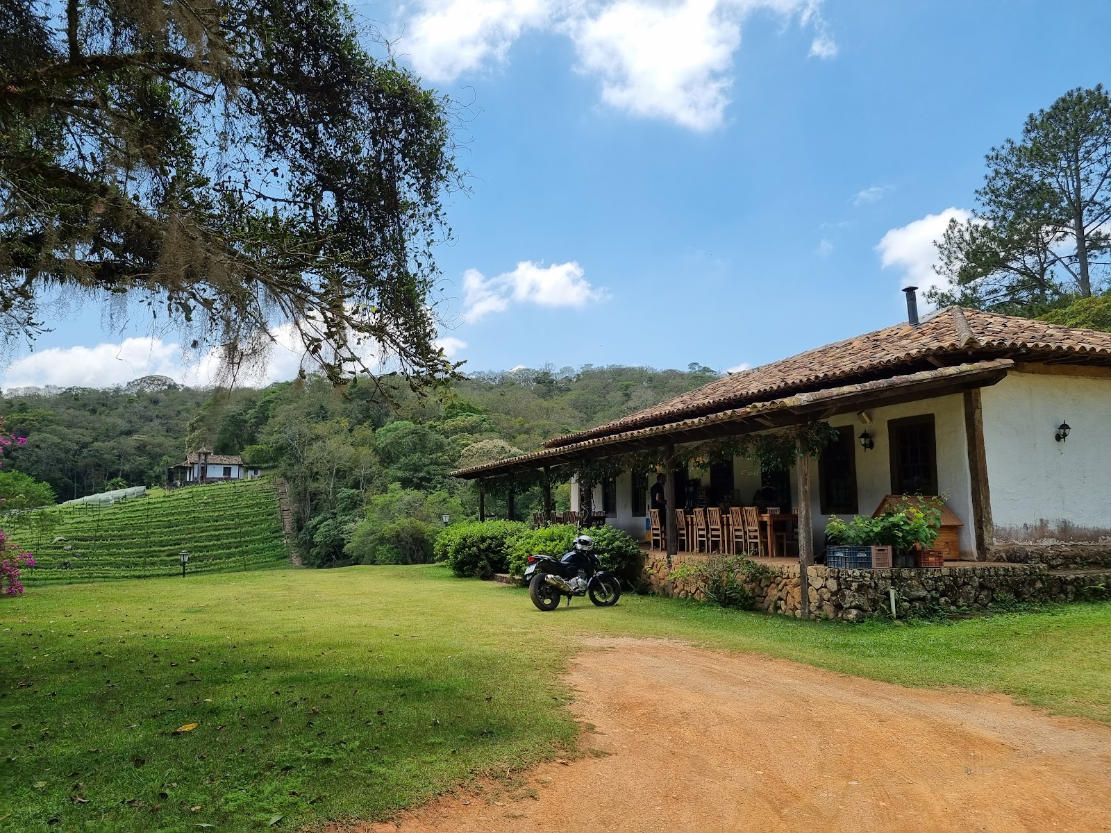 Ferreira & Passero Vinhos