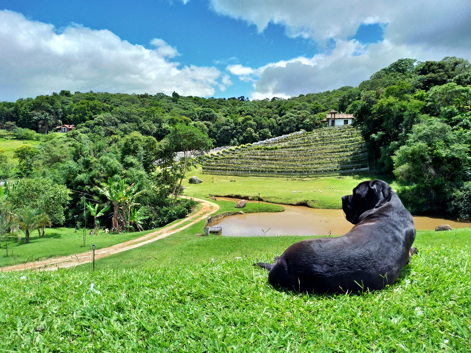 Ferreira & Passero Vinhos