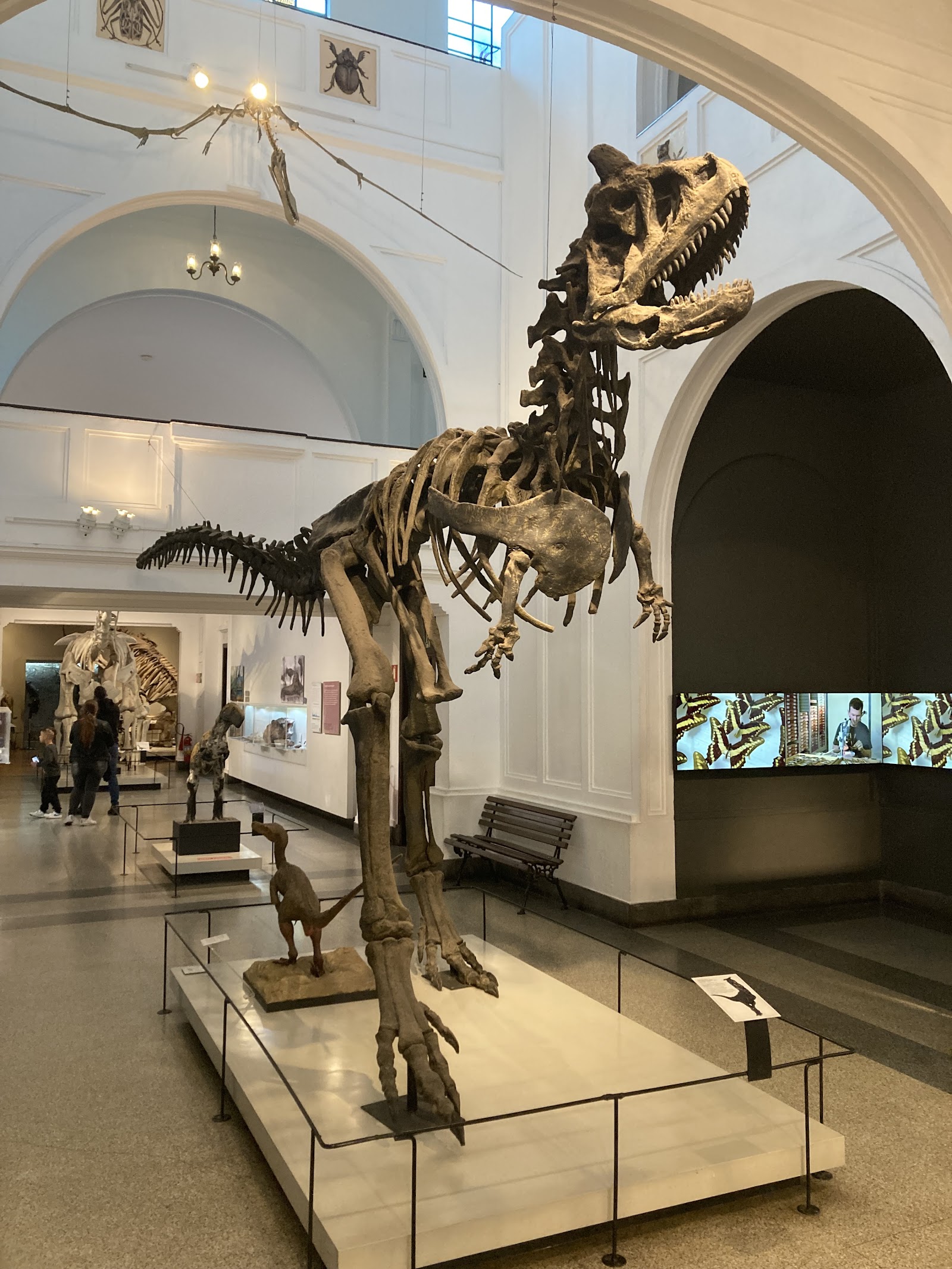 Museum of Zoology of the University of São Paulo