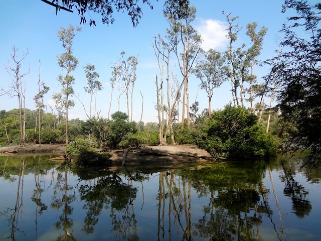 Parque Ecológico do Tietê