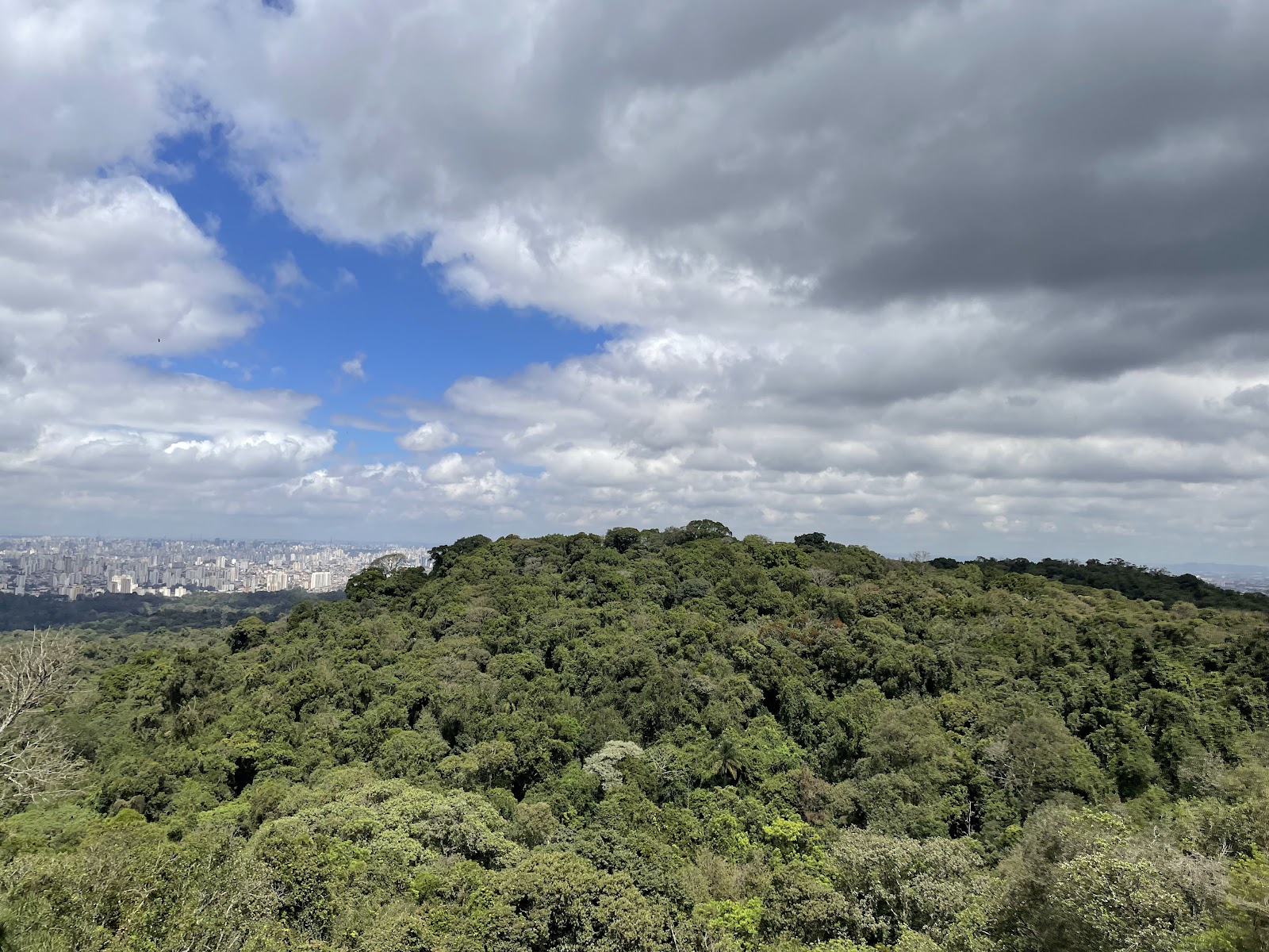 Parque Estadual Cantareira - Núcleo Pedra Grande