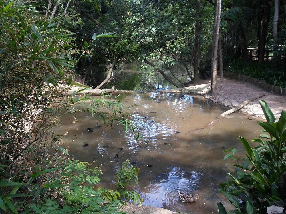 Parque Municipal "Alfredo Volpi"