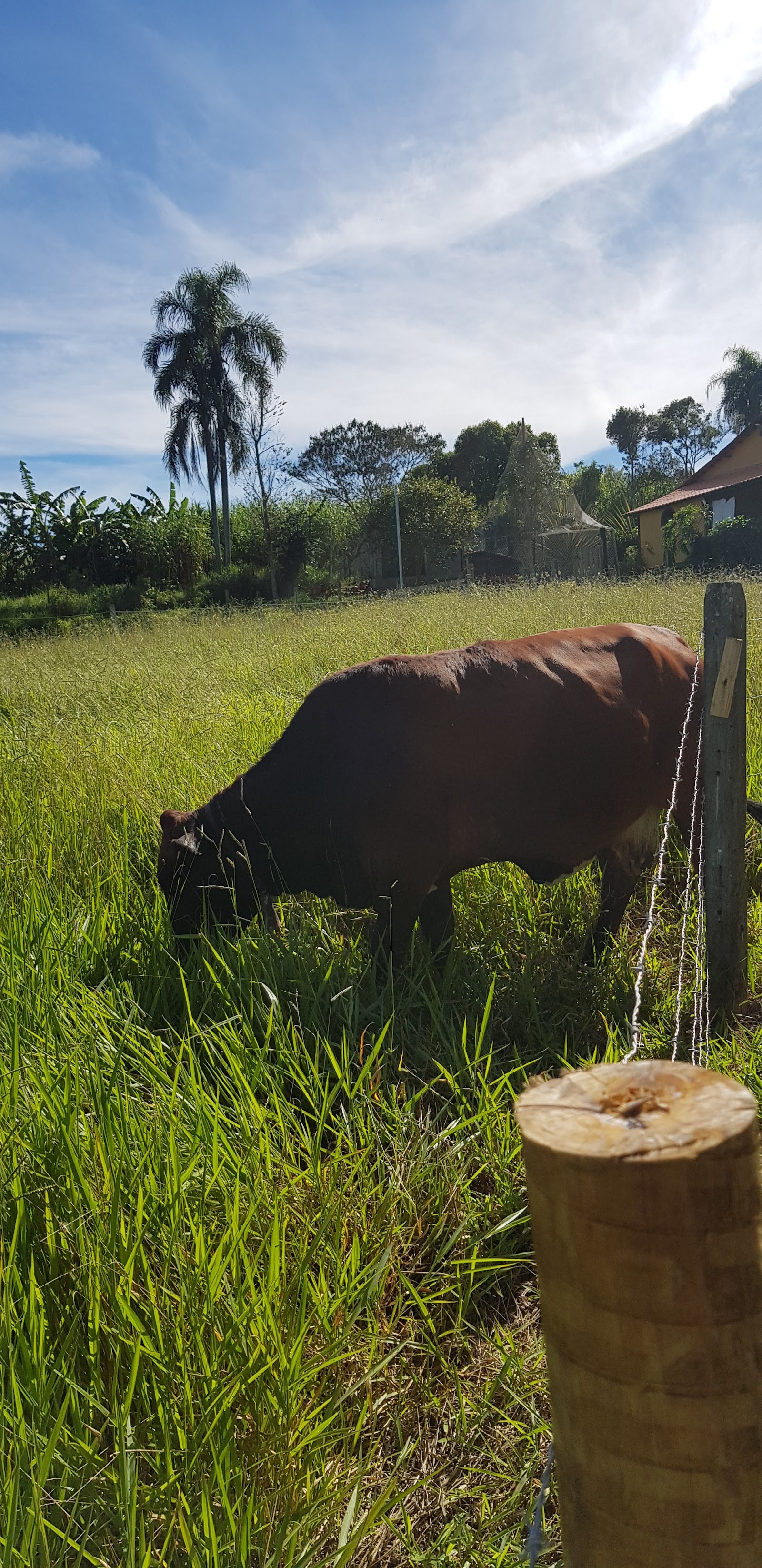 Pousada Sitio da Terra e Arte em São Roque