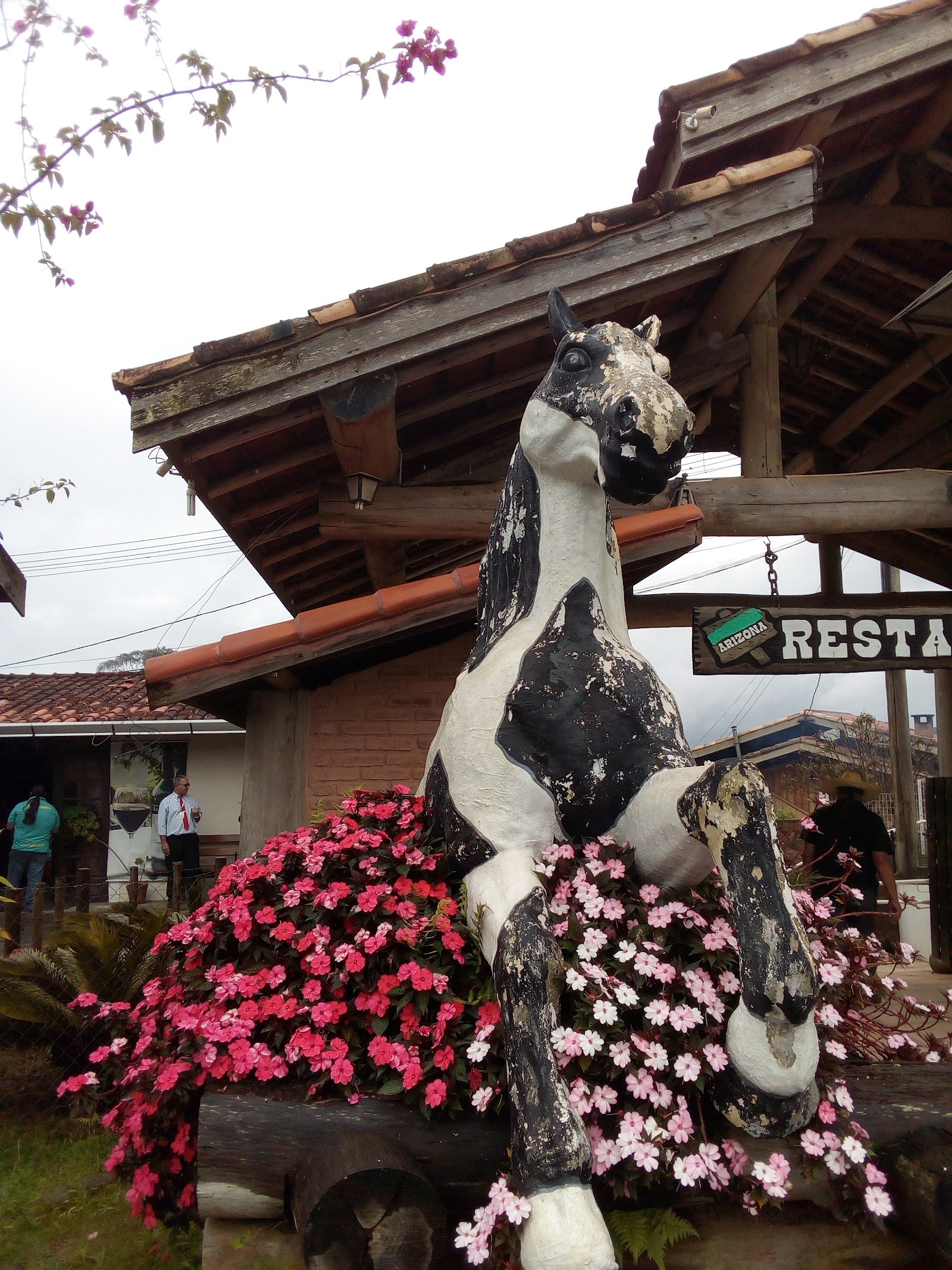 Vinhos Santa Terezinha e Quinta dos Guimarães