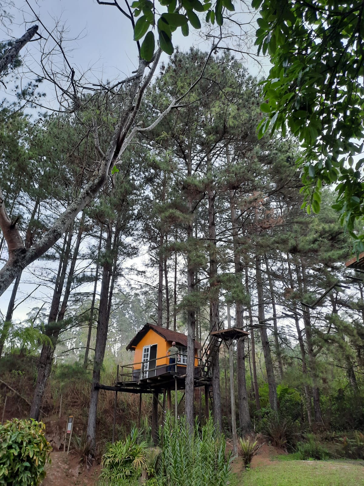 Vinícola Casa da Árvore