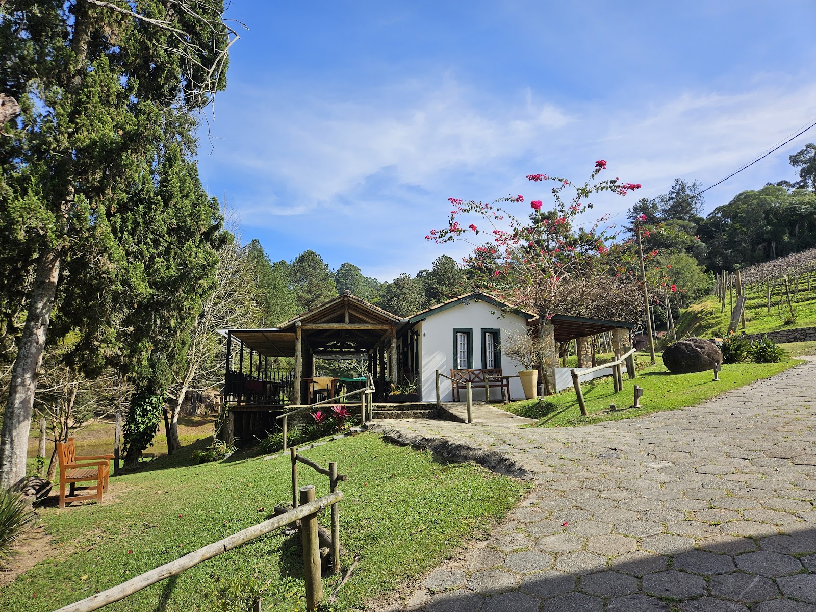 Vinícola Casa da Árvore