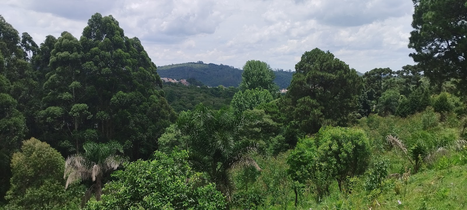 Vinícola Monte Carlo