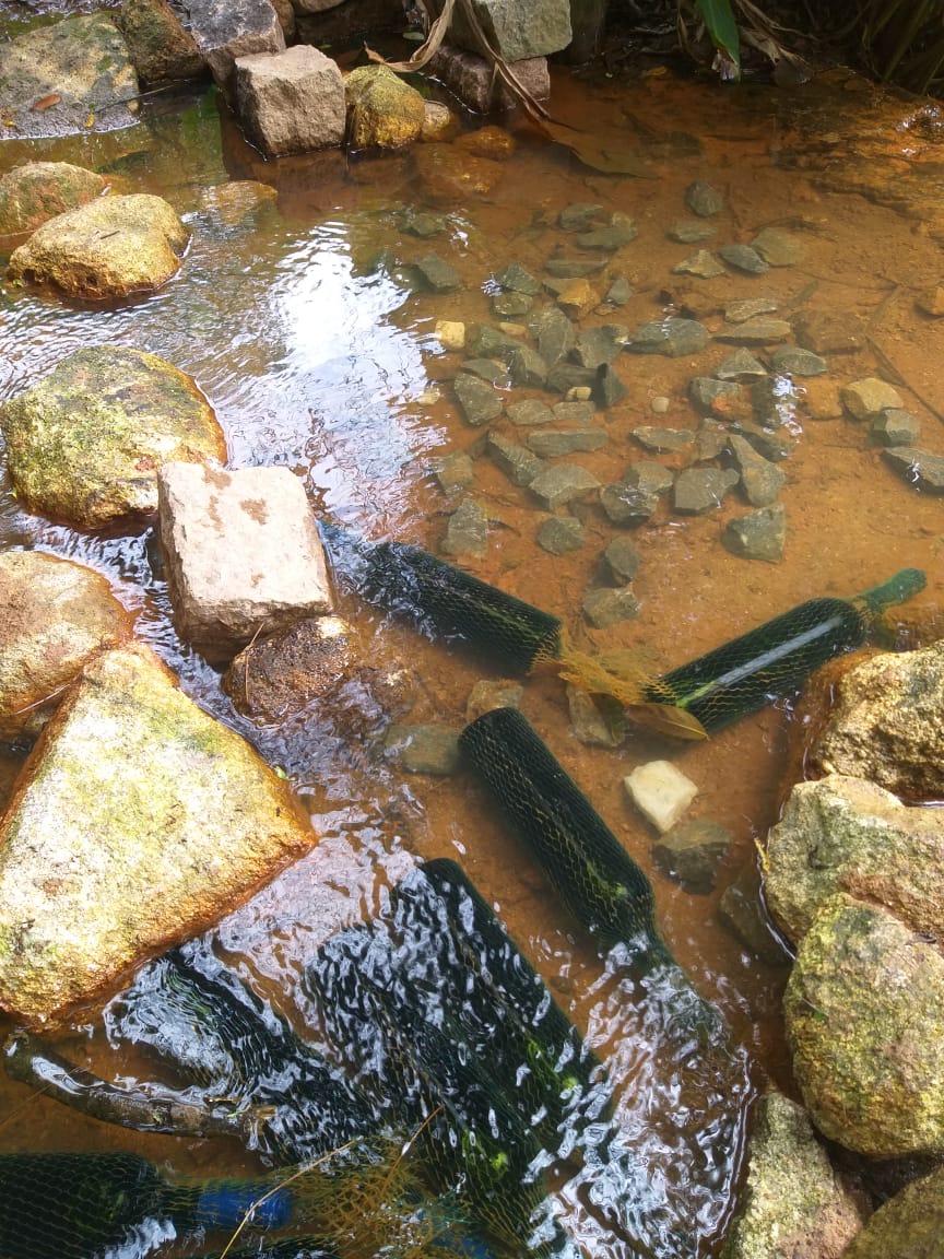 Vinícola Vinhos São Roque