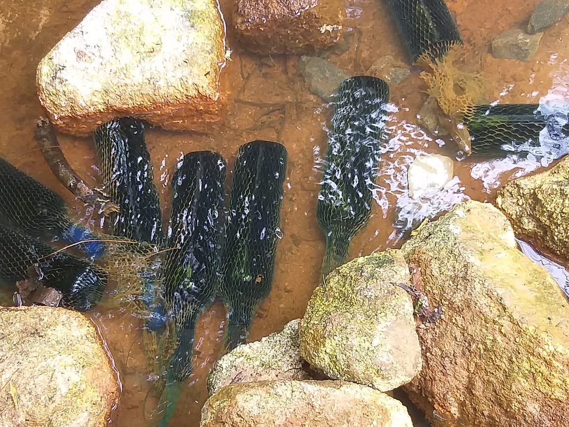 Vinícola Vinhos São Roque